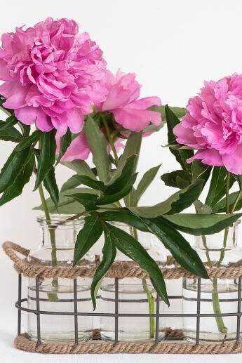 Atelier floral - Pivoines et les fleurs de Mai