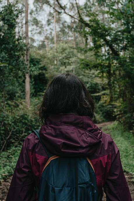 Ambiance tes vacances été - découverte de la nature