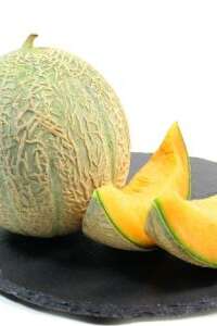 Foire aux melons