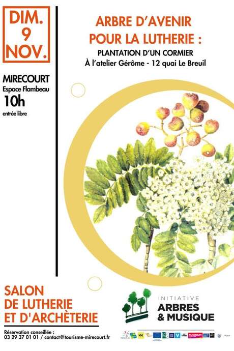 Salon de lutherie et d'archèterie - Arbre d'avenir pour la lutherie plantation d'un cormier