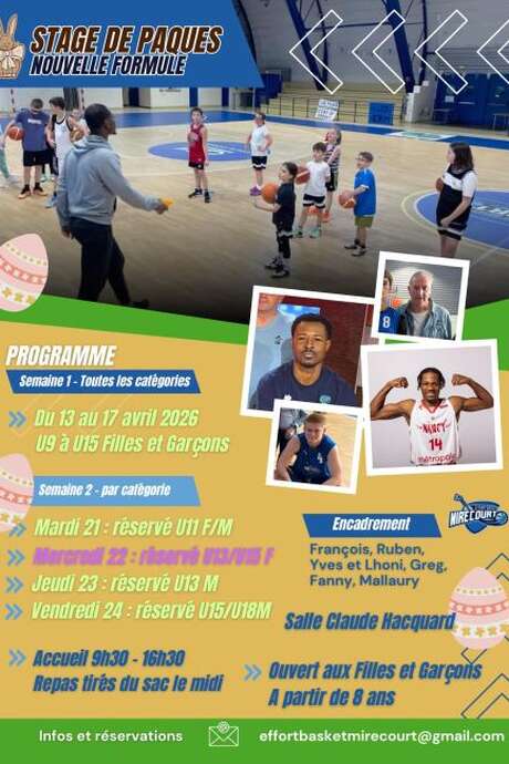 Stage de Basket