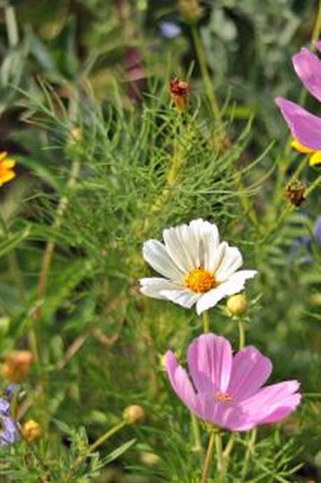 Atelier Art floral - l'appel des fleurs