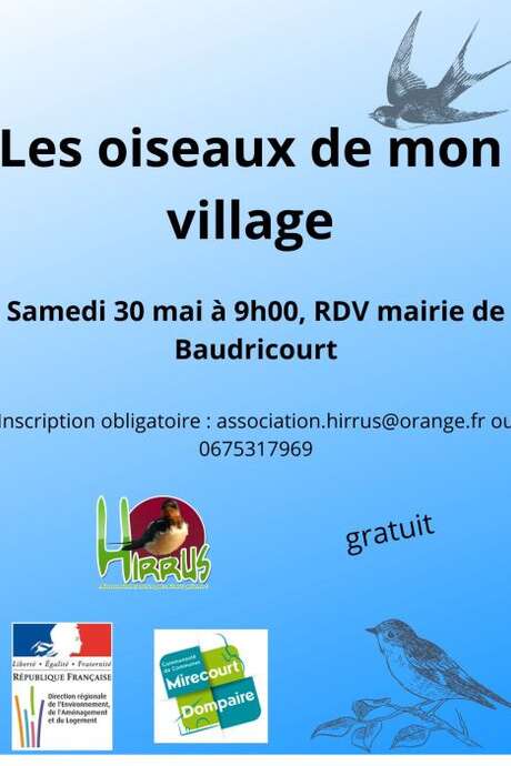 Les oiseaux de mon village