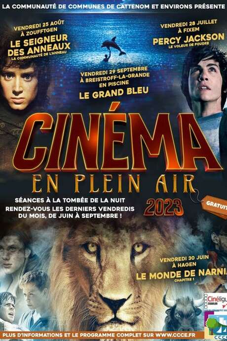 CINÉMA EN PLEIN AIR - LE GRAND BLEU