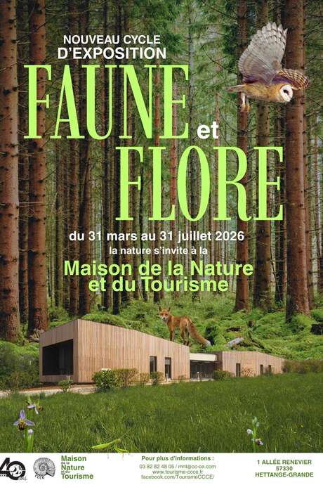 Nouveau cycle "Faune et Flore"