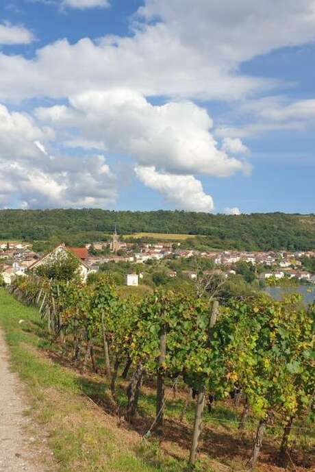 Parcours ludique "La quête viticole de Paul"