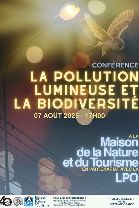 Conférence - Pollution lumineuse et biodiversité