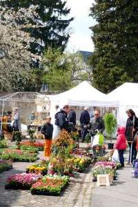 Marché aux fleurs et à la décoration de jardin