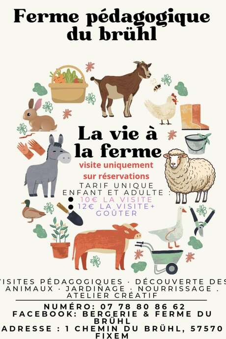 La vie à la ferme - Ferme pédagogique du Brühl