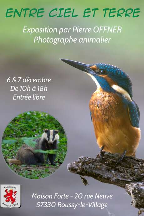 Exposition "Entre ciel et terre"