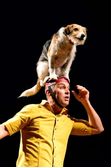 Das umgekehrte Kabarett