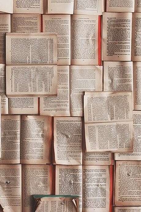 Conférence de la SACSAM