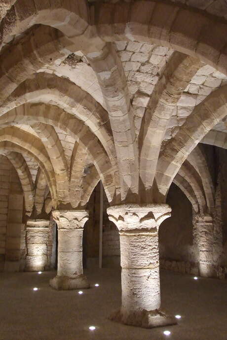 Atelier de Dégustation Sensorielle