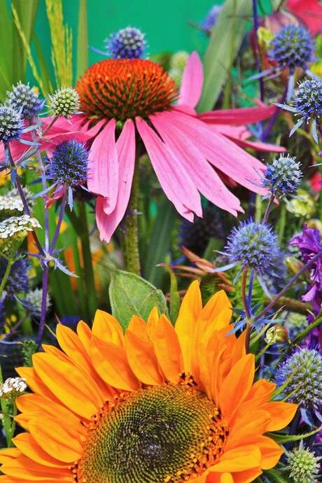 Marché aux Fleurs & de l'artisanat
