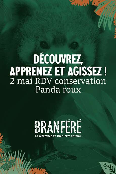 RDV Conservation Pandas roux
