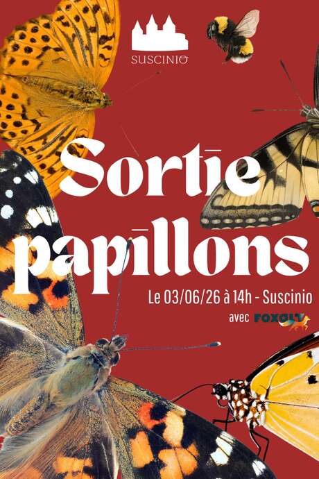 Sortie papillons