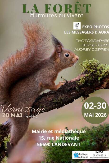 Exposition : "La forêt, murmures du vivant"