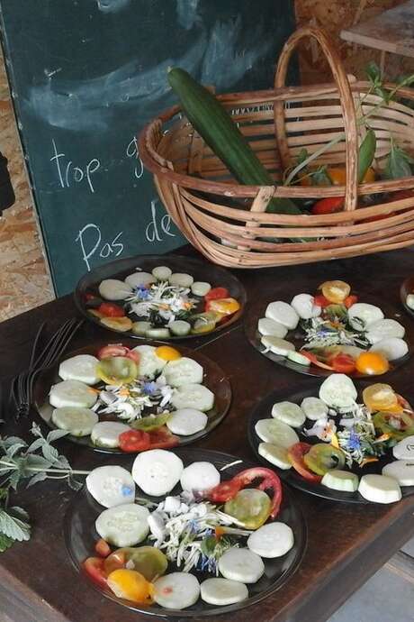 Reconnaître et cuisiner les plantes sauvages