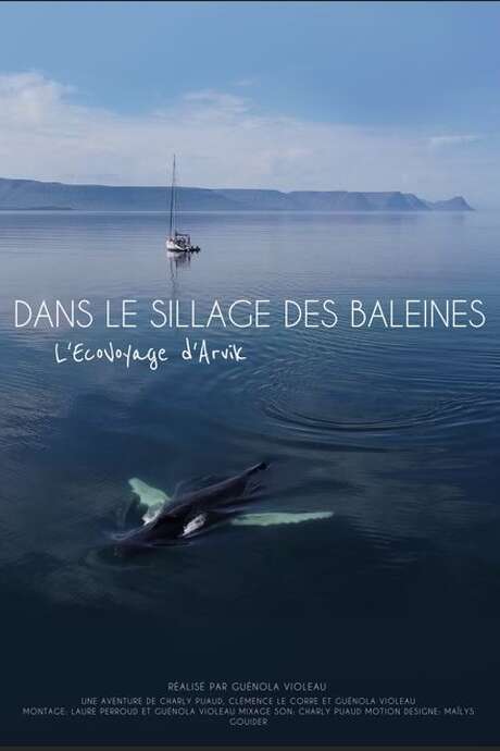 Ciné-débat : Dans le sillage des baleines : l'écovoyage d'Arvik