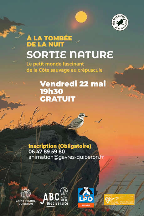 Sortie au crépuscule sur la Cote Sauvage - Dunes Sauvages