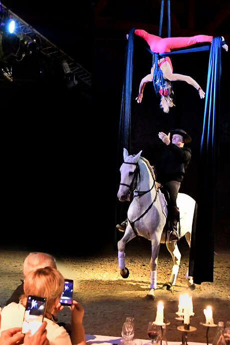Spectacle équestre "Les chevaux dansent à la Bodega"