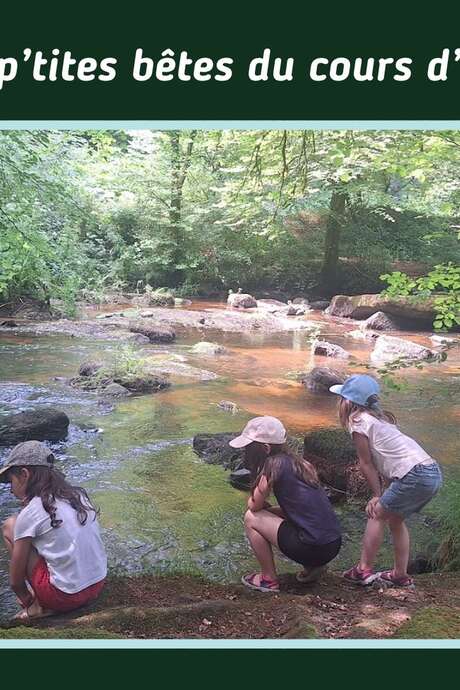 Fête de la Nature  : sortie petites bêtes du cours d'eau