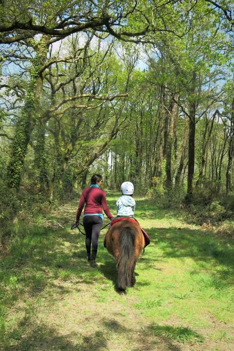 Balade en main à poney ou à cheval