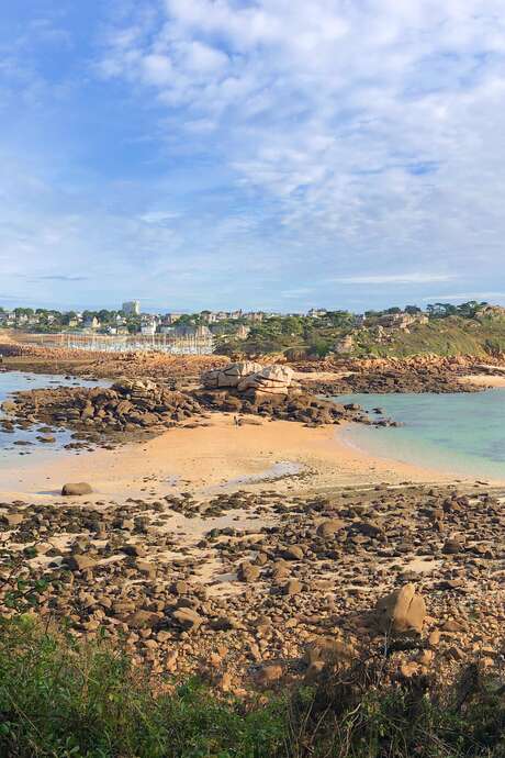 Ile Milliau, il y a 6000 ans déjà Ile Milliau, il y a 6000 ans déjà