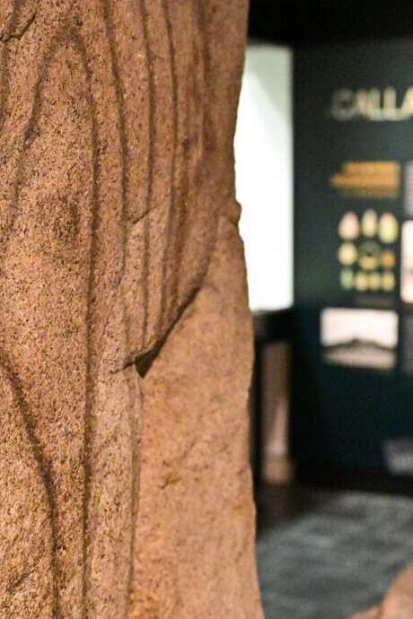 ENQUETE : Code Néolithique