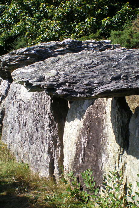 Visite du dolmen de Tréal
