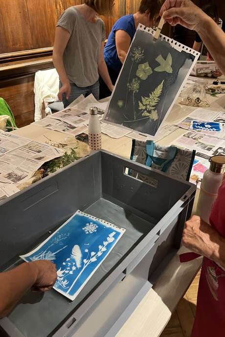 Atelier découverte du cyanotype
