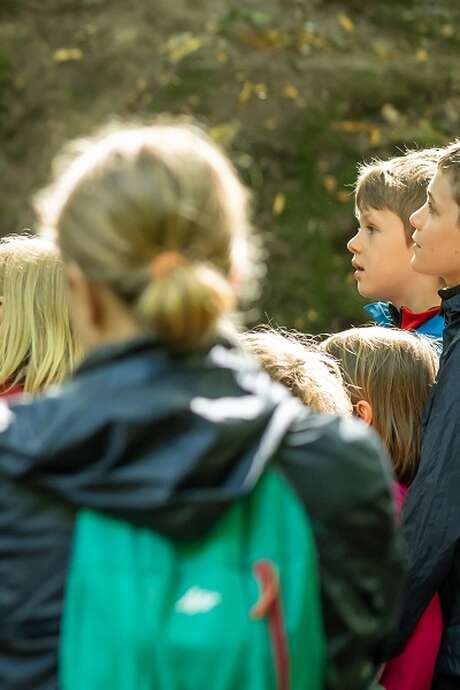 Balade contée pour les enfants