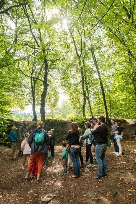 Journée découverte de Brocéliande