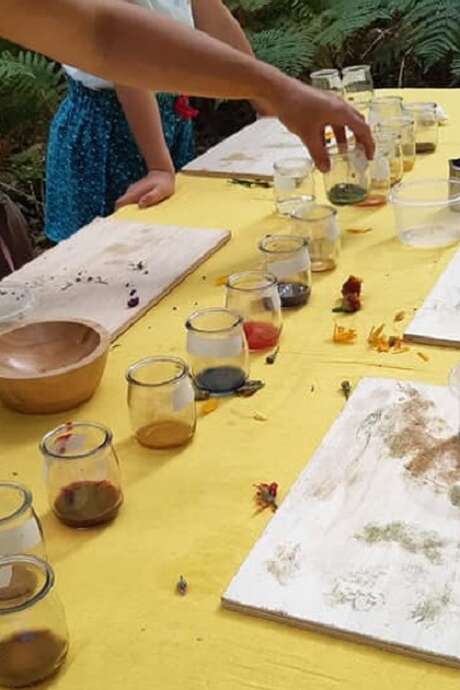 Sortie nature : Peinture végétale
