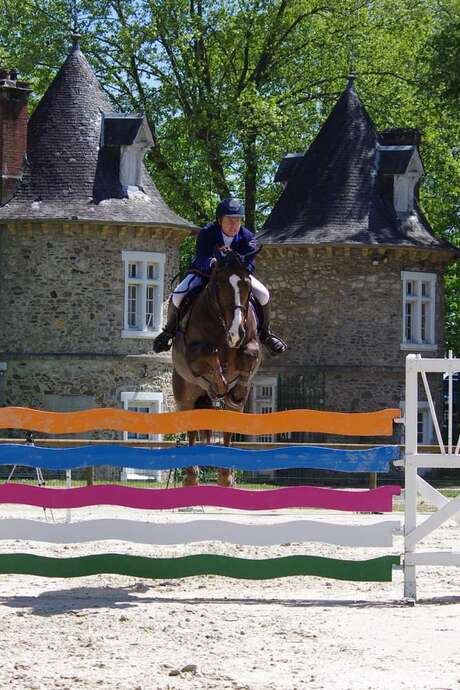 Jumping competition for horses
