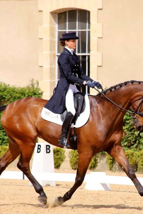 Summer Dressage Competition