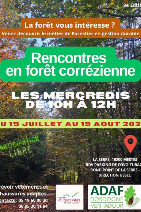 Meetings in the forest of Correze