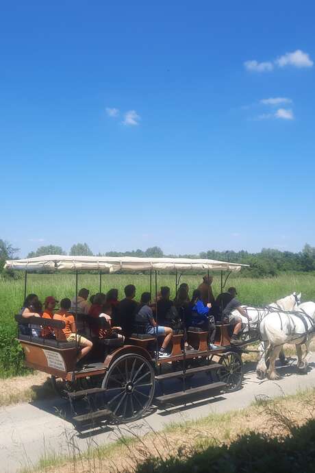 Fête au coeur des prairies du Fouzon à Couffy
