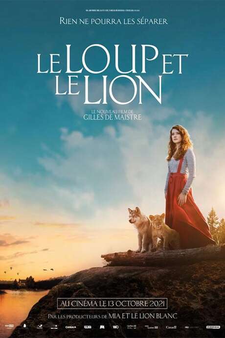 Ciné plein air – Le Loup et le Lion