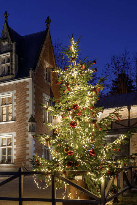 Fééries de Noël au Château du Clos Lucé