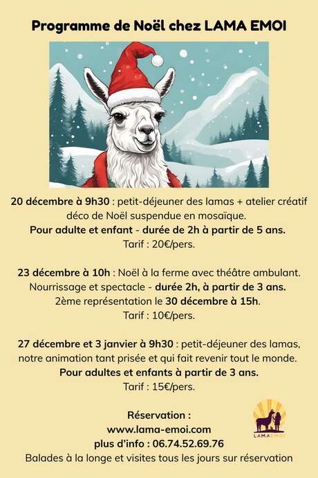 Noël chez Lama Emoi à Saint Aignan