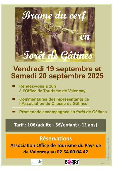 Brame du Cerf en forêt de Gâtines