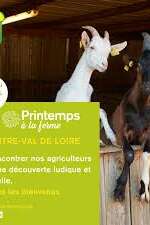Bienvenue à la ferme Divin Loire