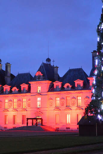 Journée spéciale Noël au Château de Cheverny