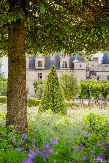 Rendez-vous aux jardins au Château Royal d'Amboise