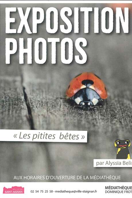 Exposition photos "Les pitites bêtes" Exposition photos "Les pitites bêtes"