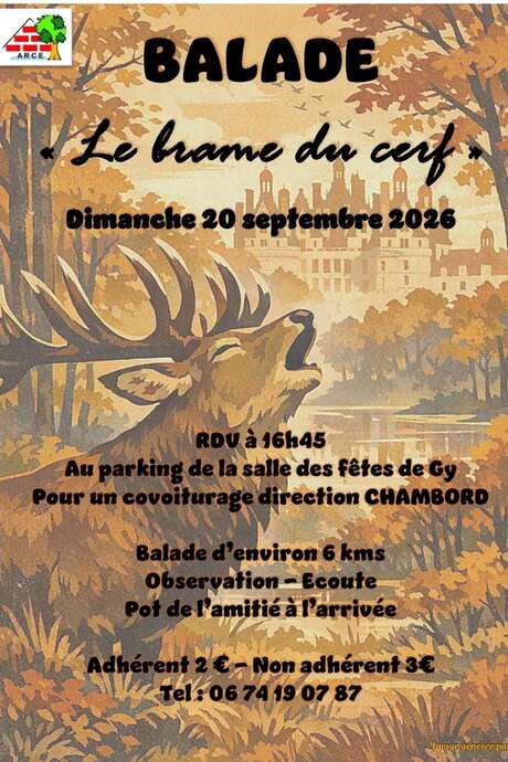 Balade Le brame du cerf