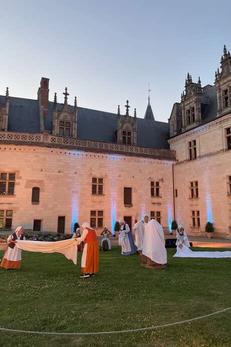 Déambulation nocturne "Amboise, destinées royales"