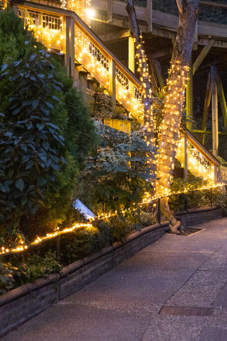 Noël au ZooParc de Beauval