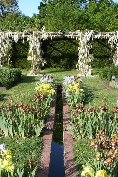 Découvrez les Iris au Domaine de Poulaines